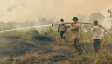 10 Hektare Lahan Karhutla di Kumpeh Ulu Berhasil Dipadamkan