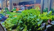 Aktivitas pedagang sayuran di pasar tradisional Kota Jambi di tengah berkurangnya pasokan akibat kemarau.